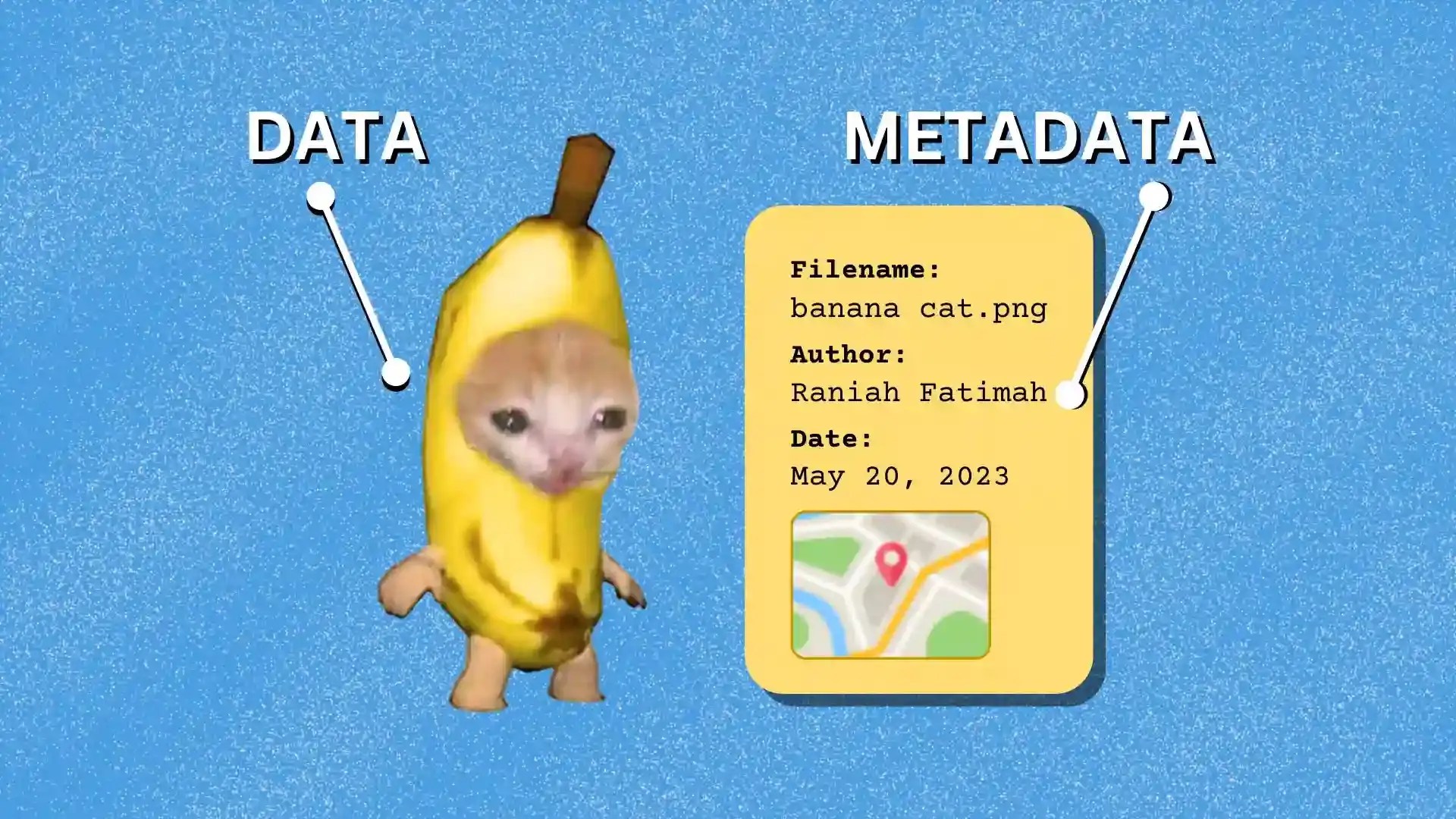 dibimbing.id Apa Itu Metadata Contoh, Fungsi, dan Jenisjenisnya
